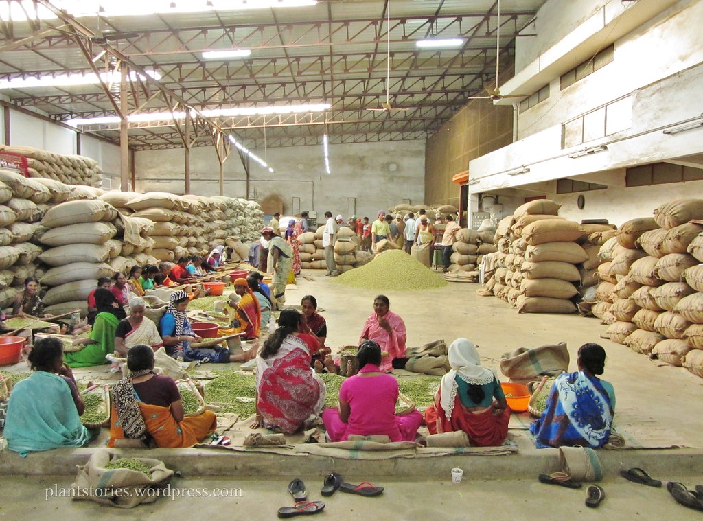 Cara Mengatur Rak Gudang